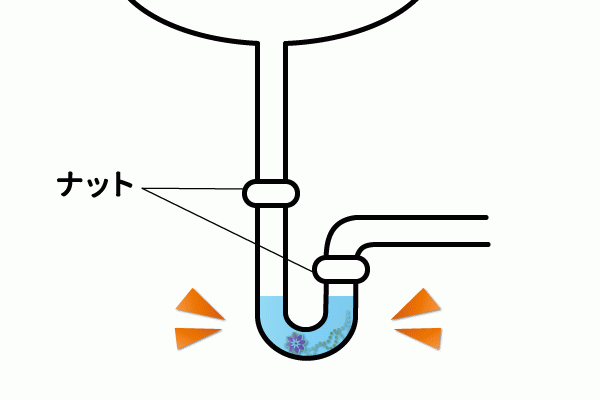 排水口に落とした物は封水の中