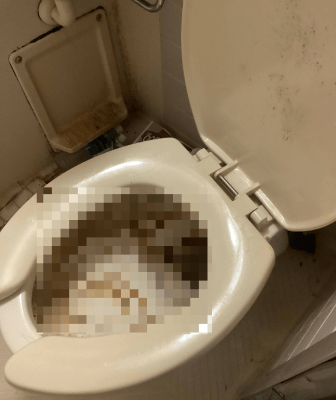 扶桑町でトイレの詰まりを除去する前