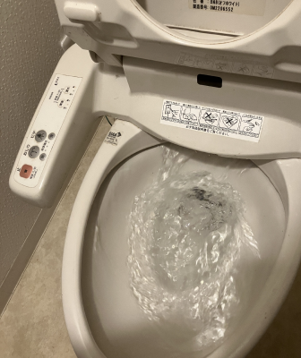 伊勢原市でトイレの猫砂を流して詰まったトイレのつまり解消作業後