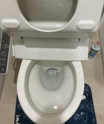 名取市でトイレに流した異物を除去する前