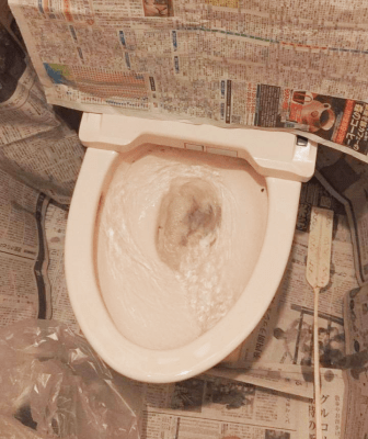 施工事例｜伊勢原市のマンションでトイレ詰まり除去｜高圧ポンプ-施工後