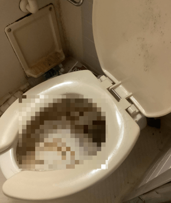 施工事例｜丹羽郡扶桑町でトイレつまり除去｜ローポンプ使用-施工前