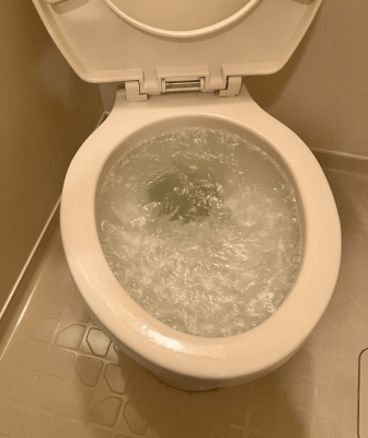 茅ヶ崎市の施工実績紹介｜トイレの詰まり除去作業（作業前）