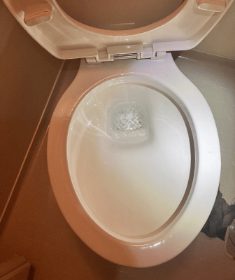 茅ヶ崎市の施工実績紹介｜トイレの詰まり除去作業（作業後）
