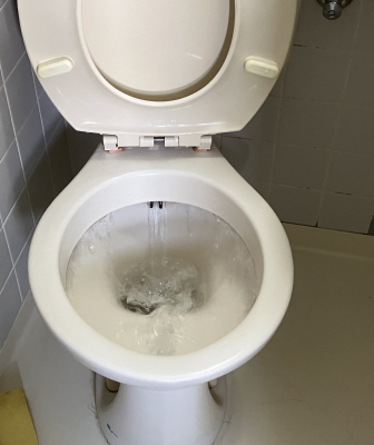 町田市の施工実績・トイレ排水つまり解消作業(施工前)